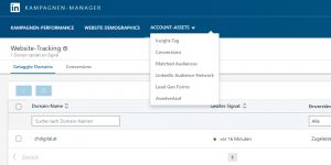 LinkedIn Account Assets
